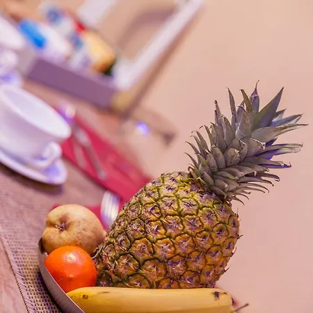 Panorama Ольбія